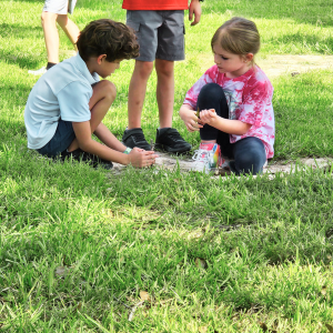 Children engaged in outdoor learning activities on grass